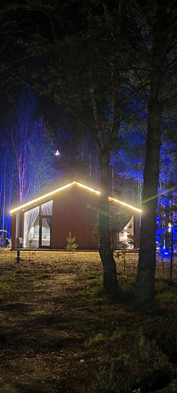 Фото Домик в соснах