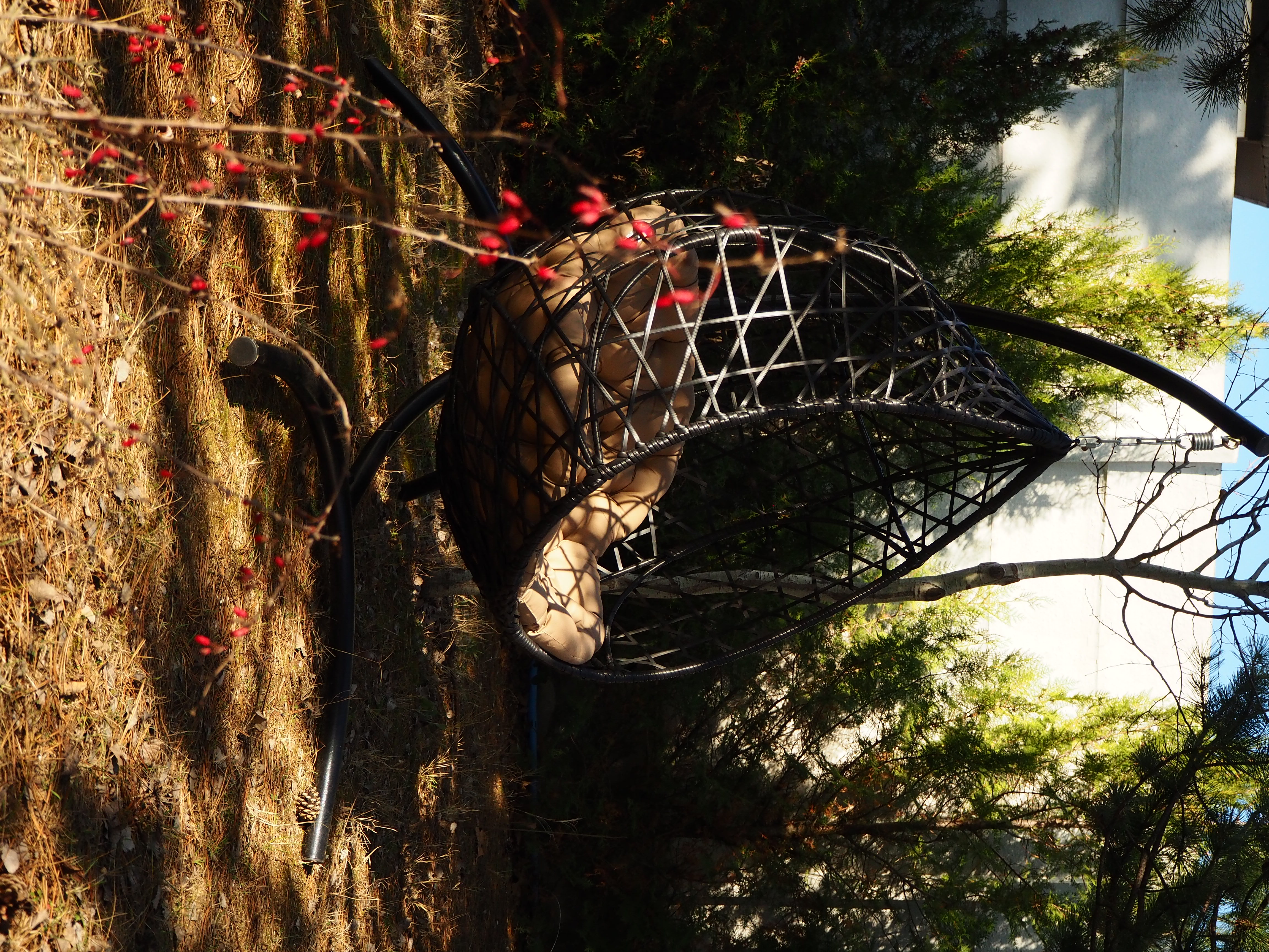 Фото Эльмарин