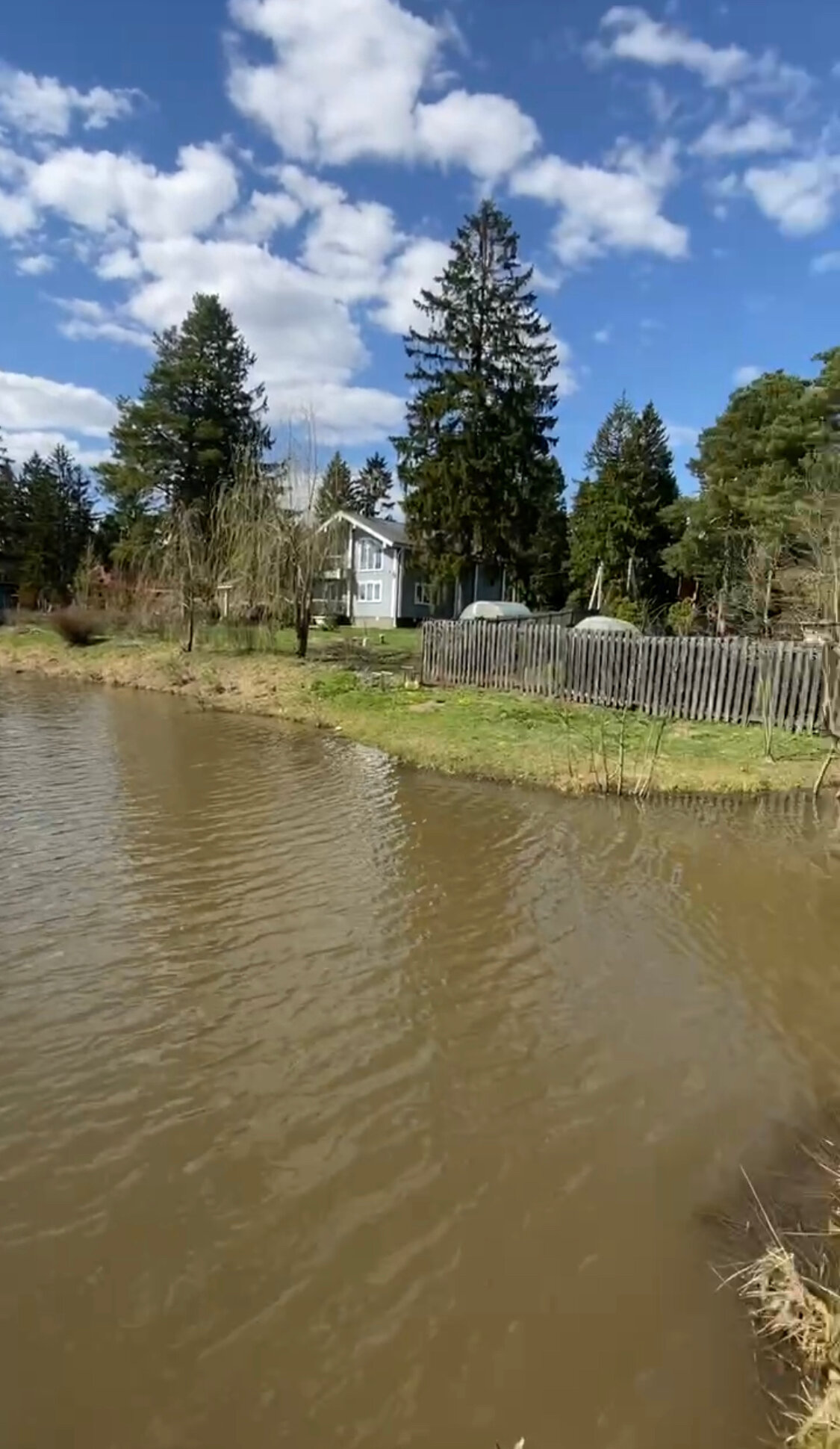 Фото Лес Эко Вилладж