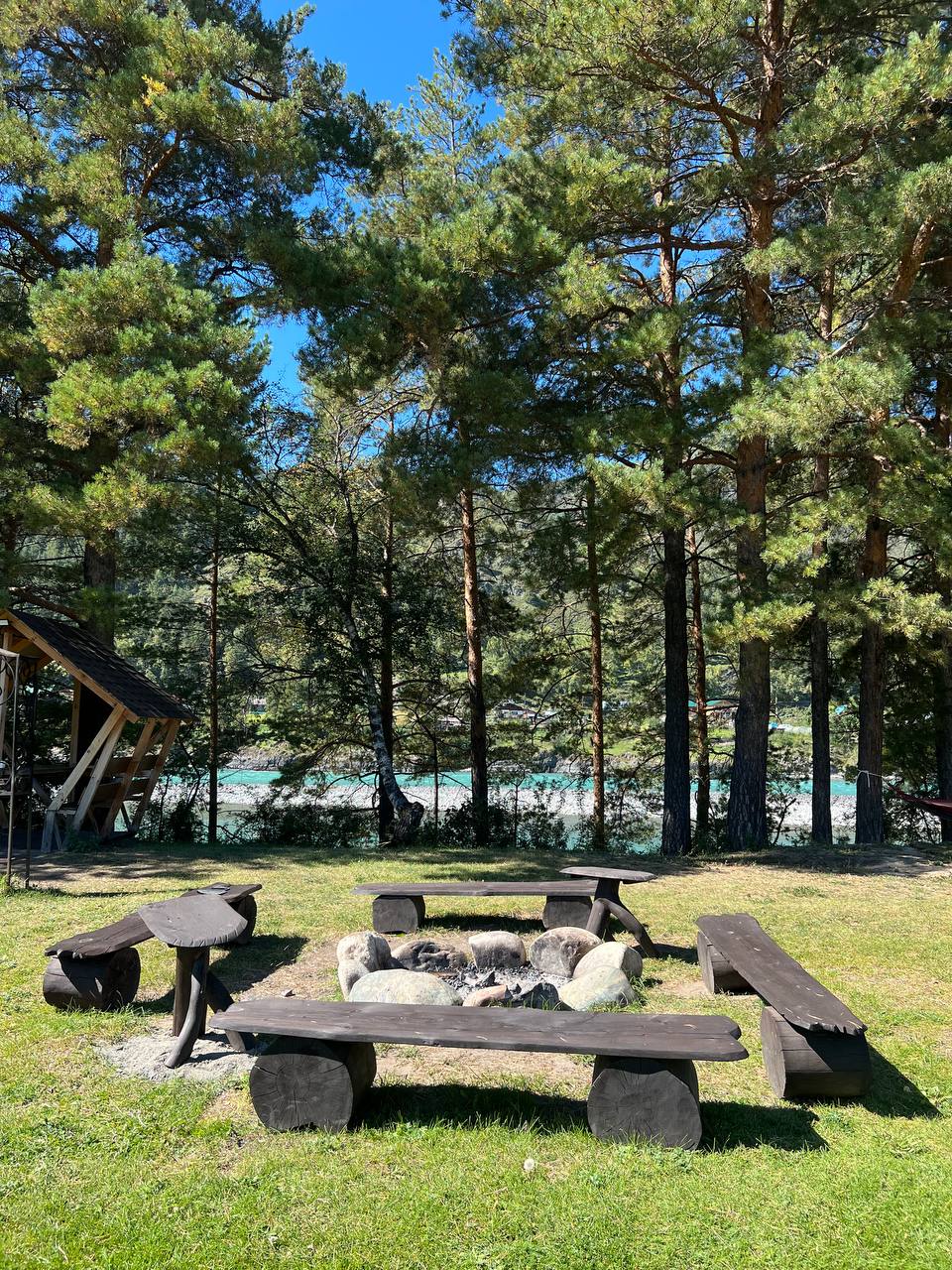 Фото Зеленые холмы