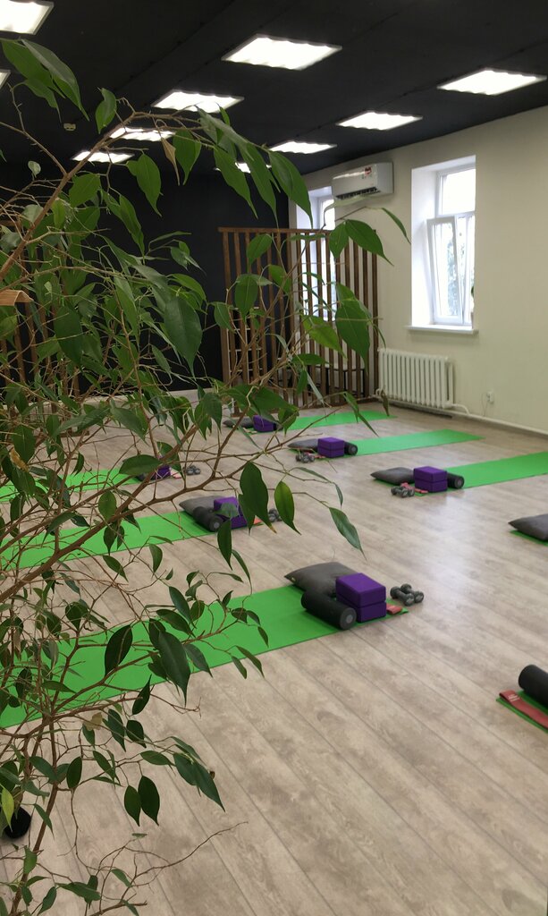 Stretching Dotyanis, Voronezh, photo