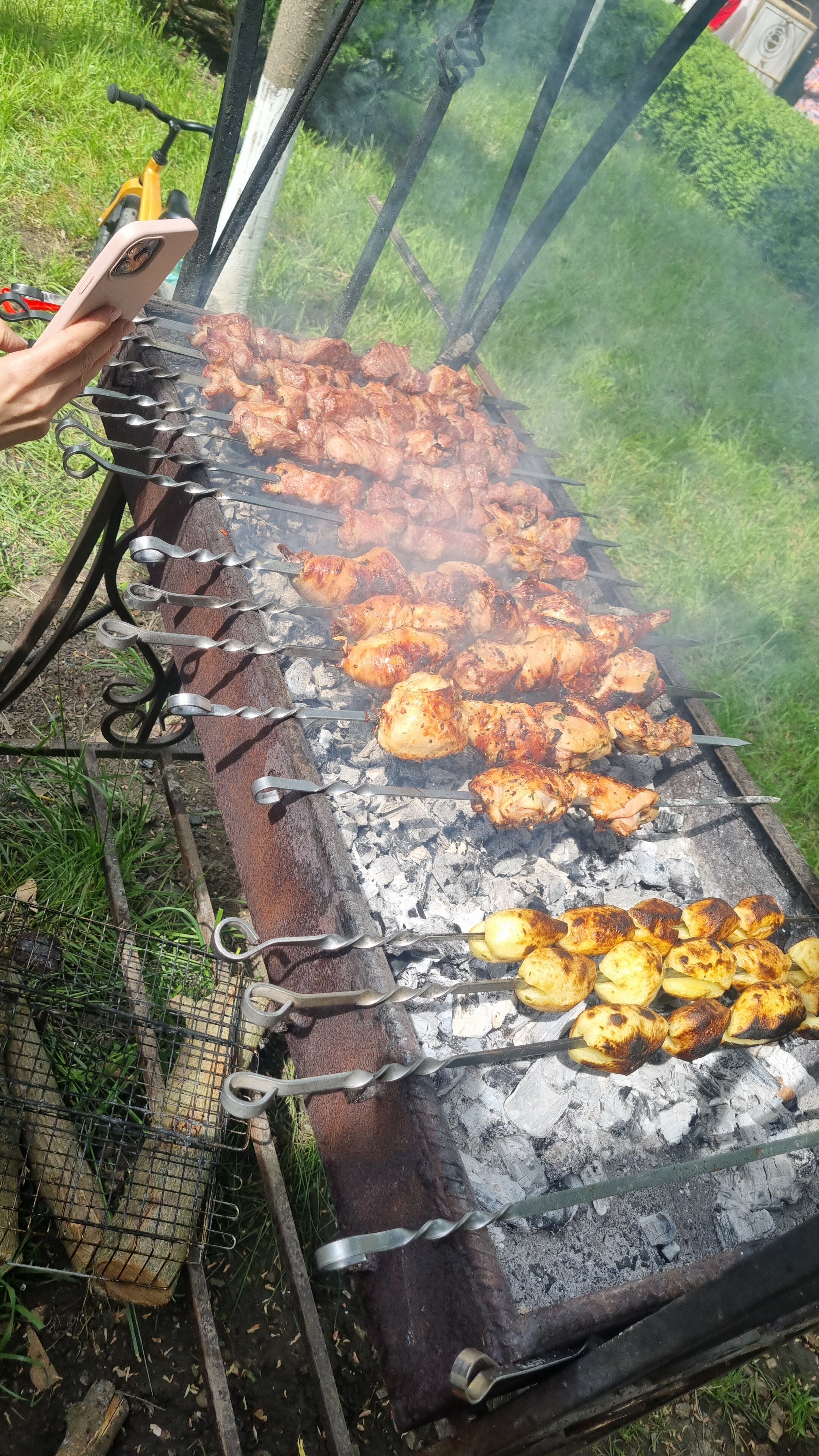 Фото Лесная сказка