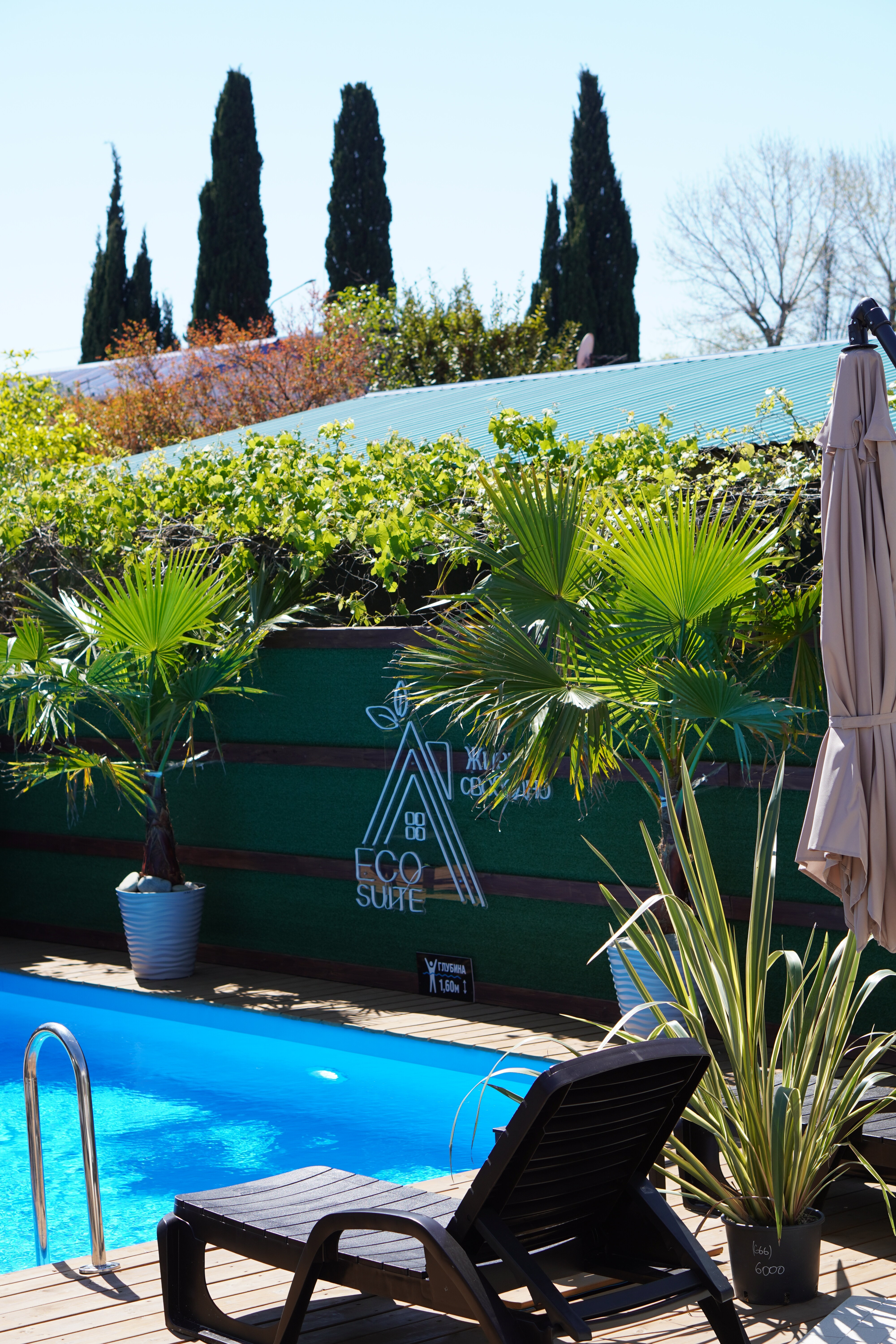 Фото EcoSuite Family