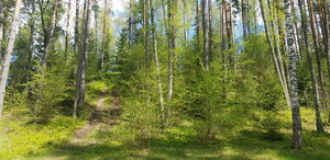 Латгальское городище (Pskov Region, Sebezhskiy District, gorodskoye poseleniye Idritsa), atracción