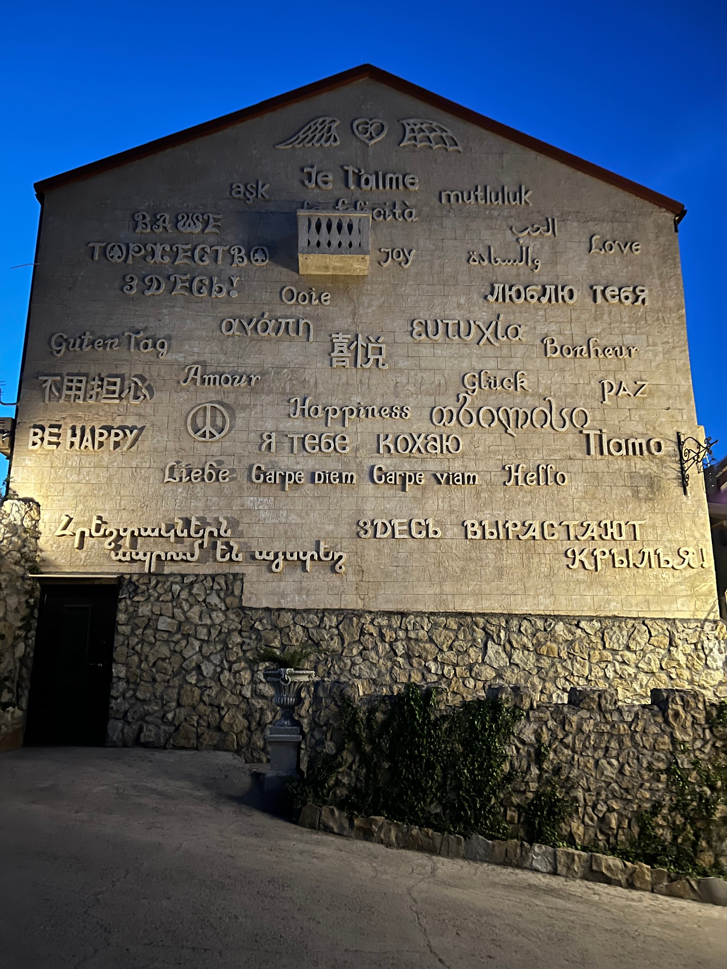 Фото Крылья