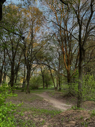 Парк культуры и отдыха Ковыринский сад, Вологда, фото