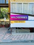 Wildberries (posyolok Agronom, Vokzalnaya ulitsa, 6Б), point of delivery