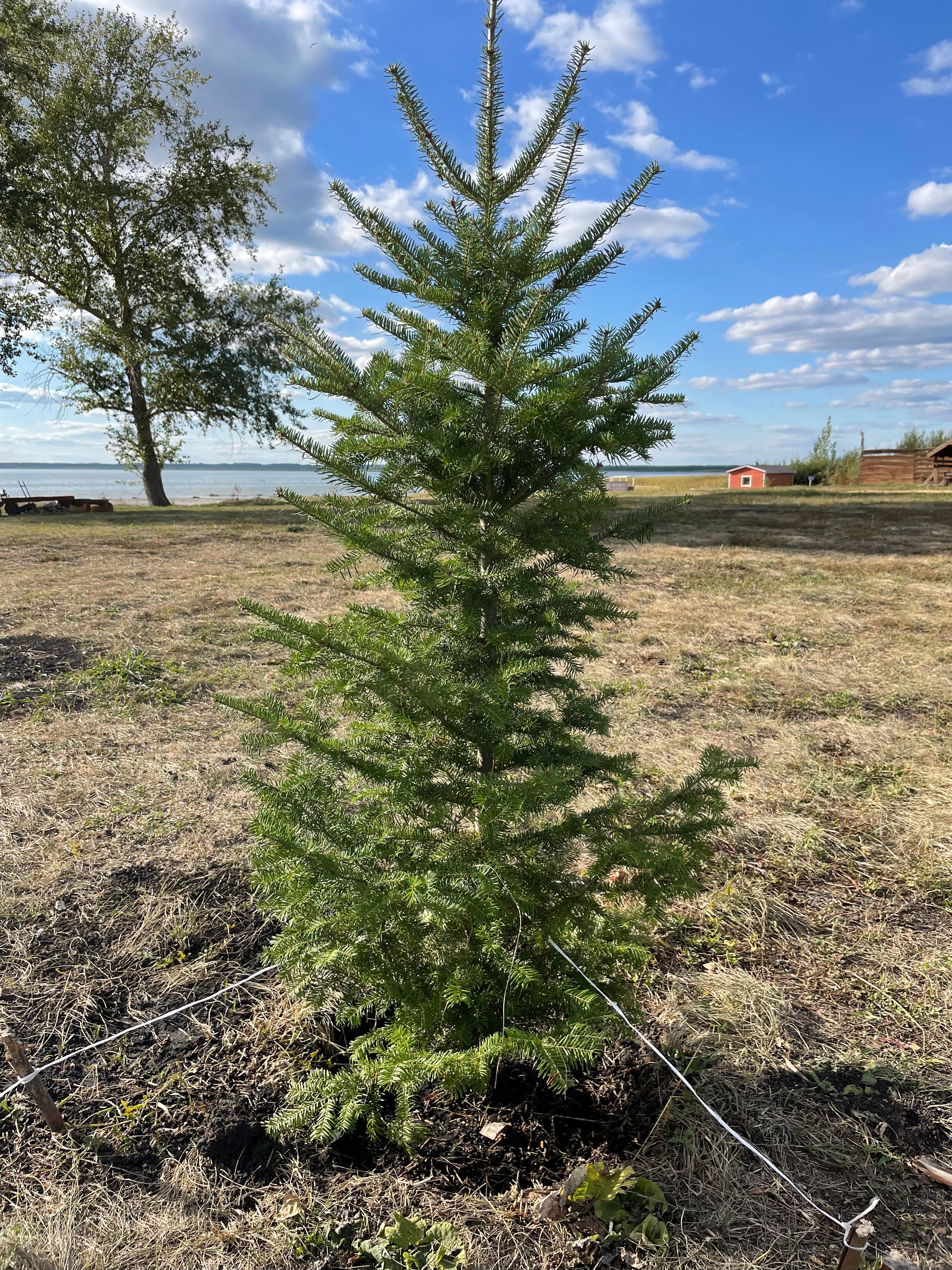 Фото Экопарк Шаблиш