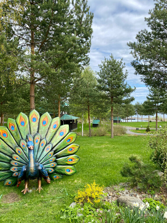 Фото Чёрные камни