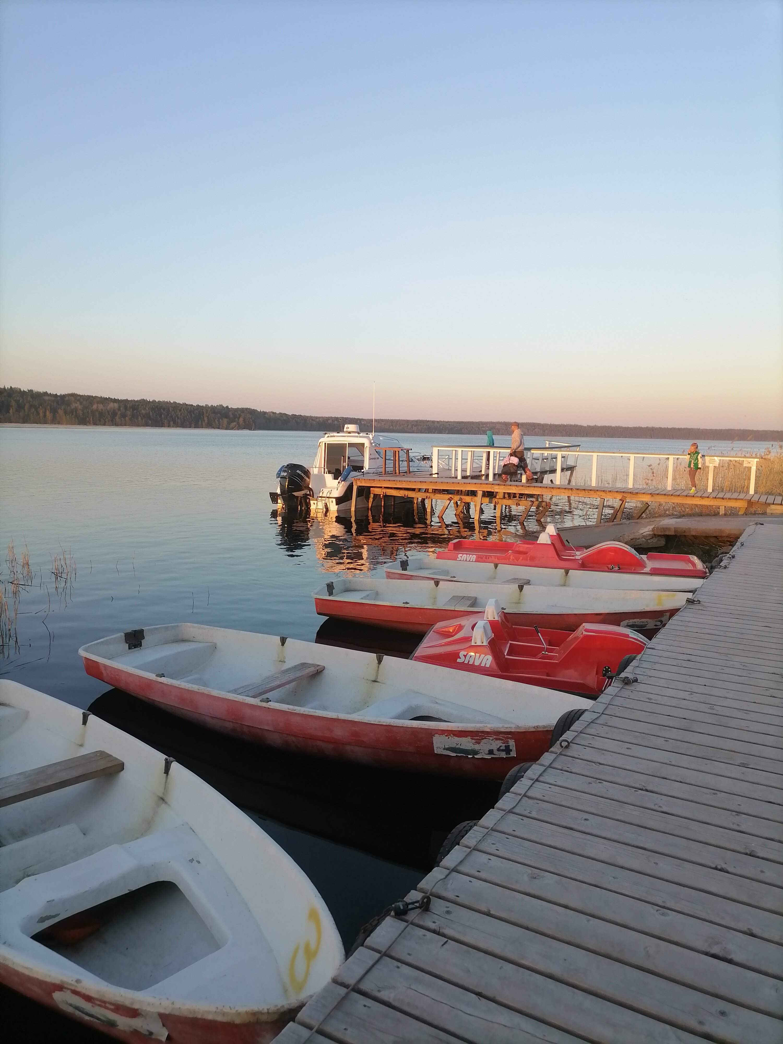 Фото Вохотка