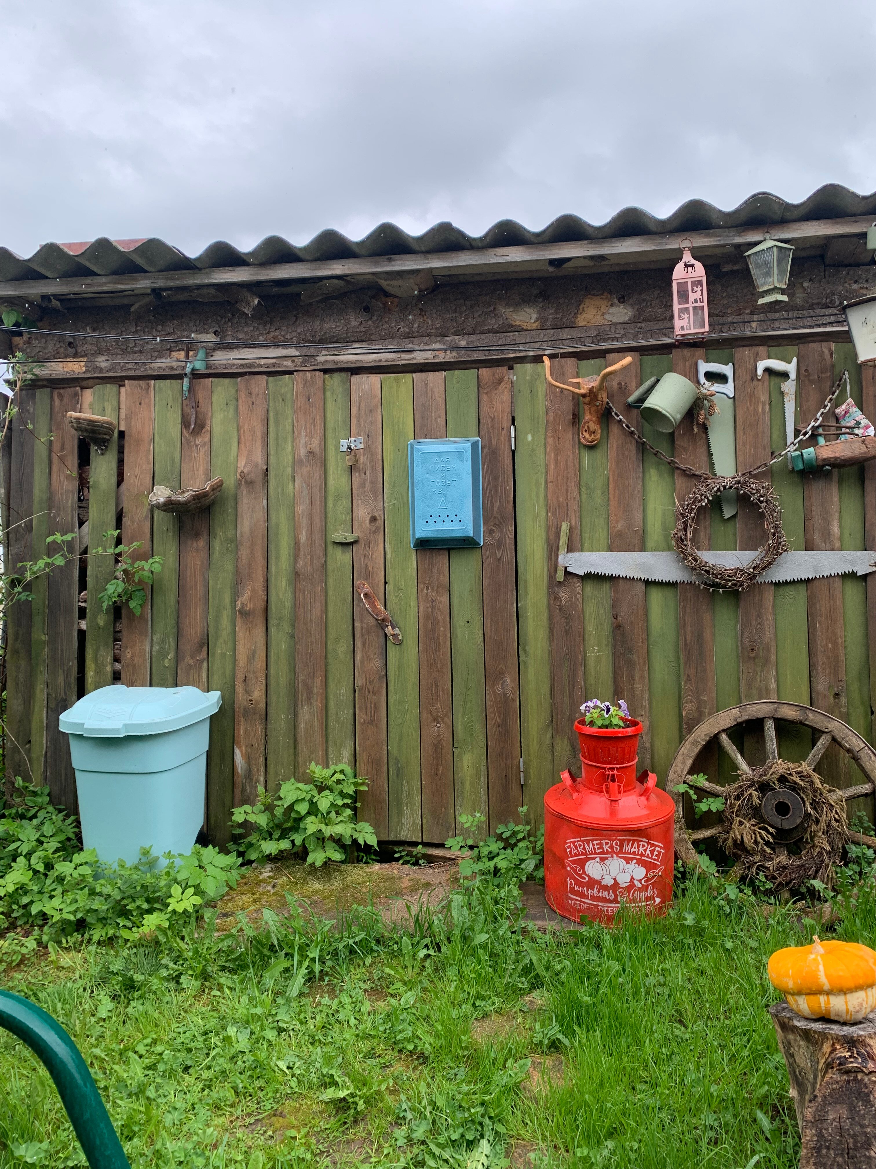 Фото Лосиный тупичок