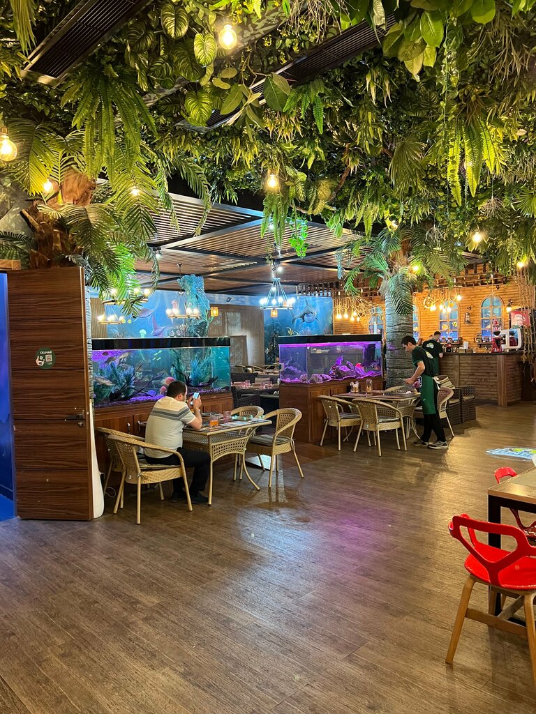 Restoran Jungle Family Club, Toshkent, foto