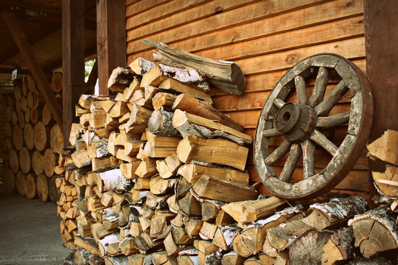 Фото Каменские Плёсы