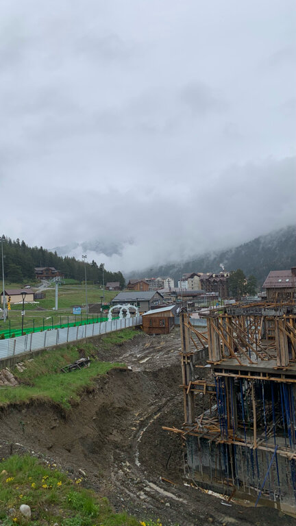Фото Гризли