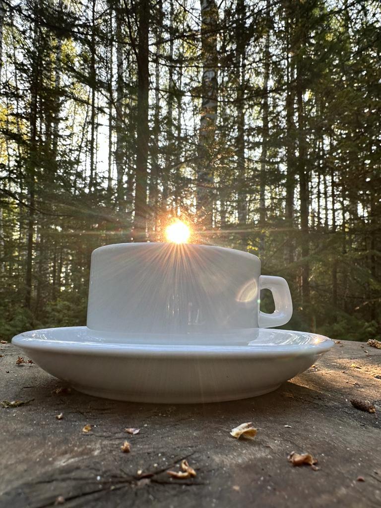 Фото Зелёный дом