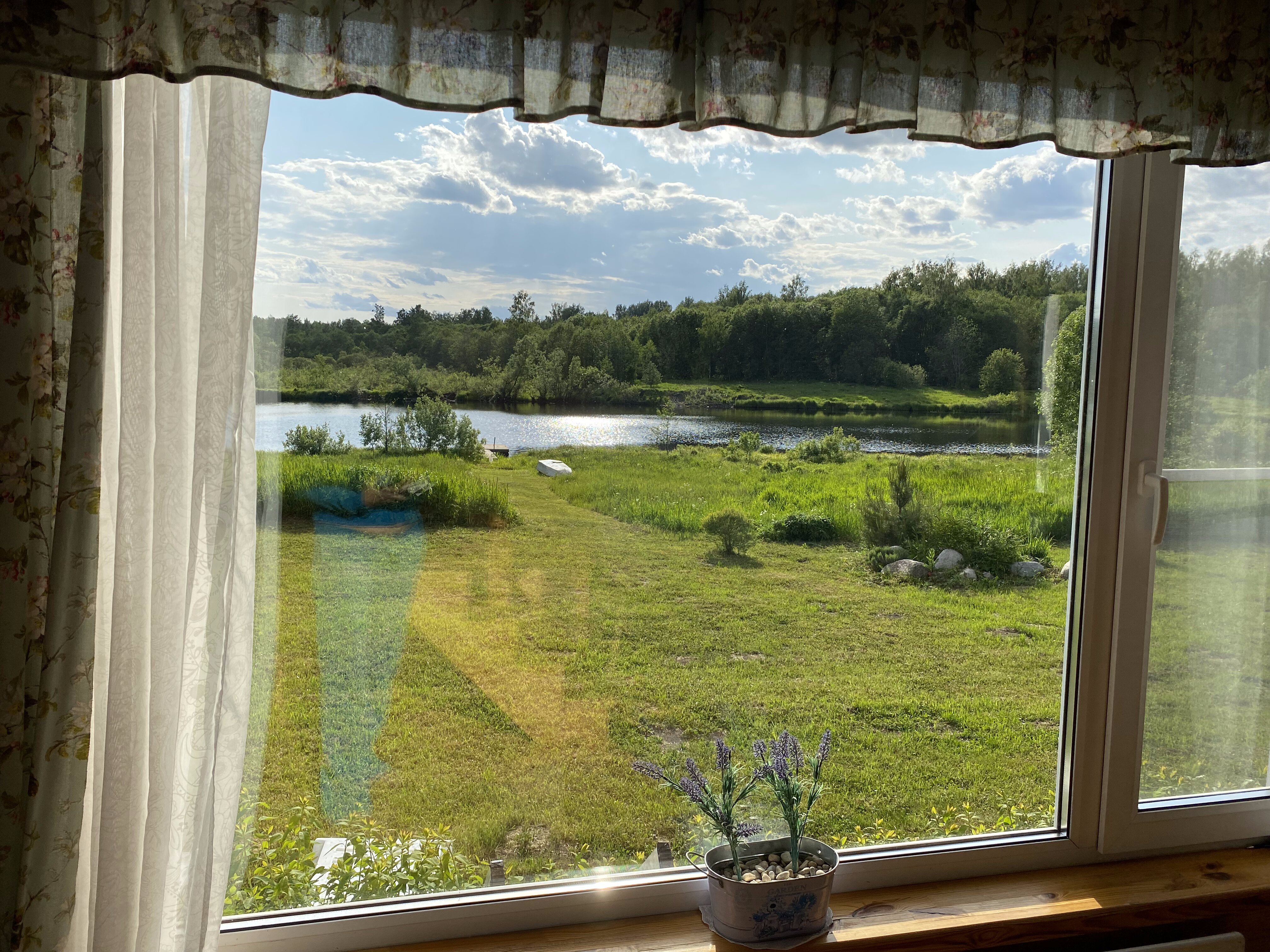 Фото Лаванда