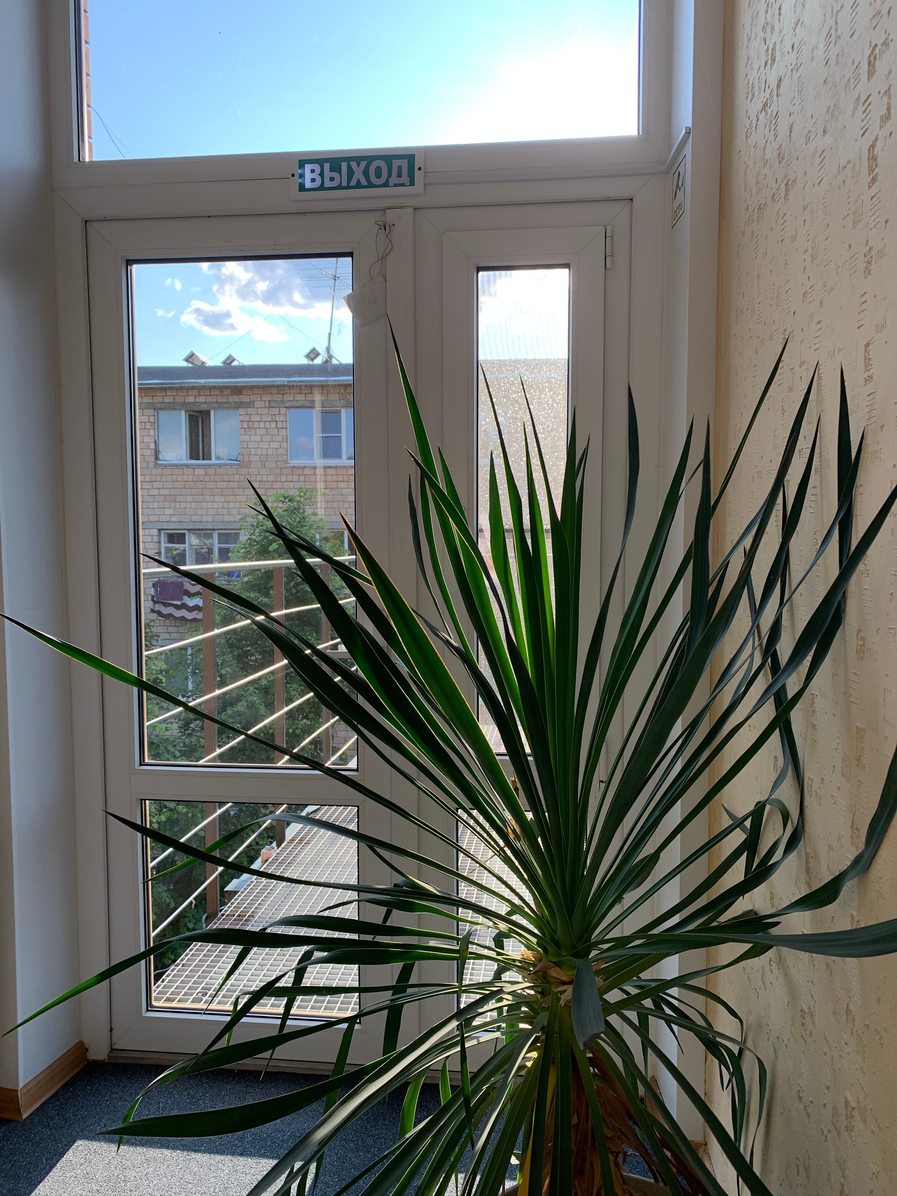 Фото Ливадия