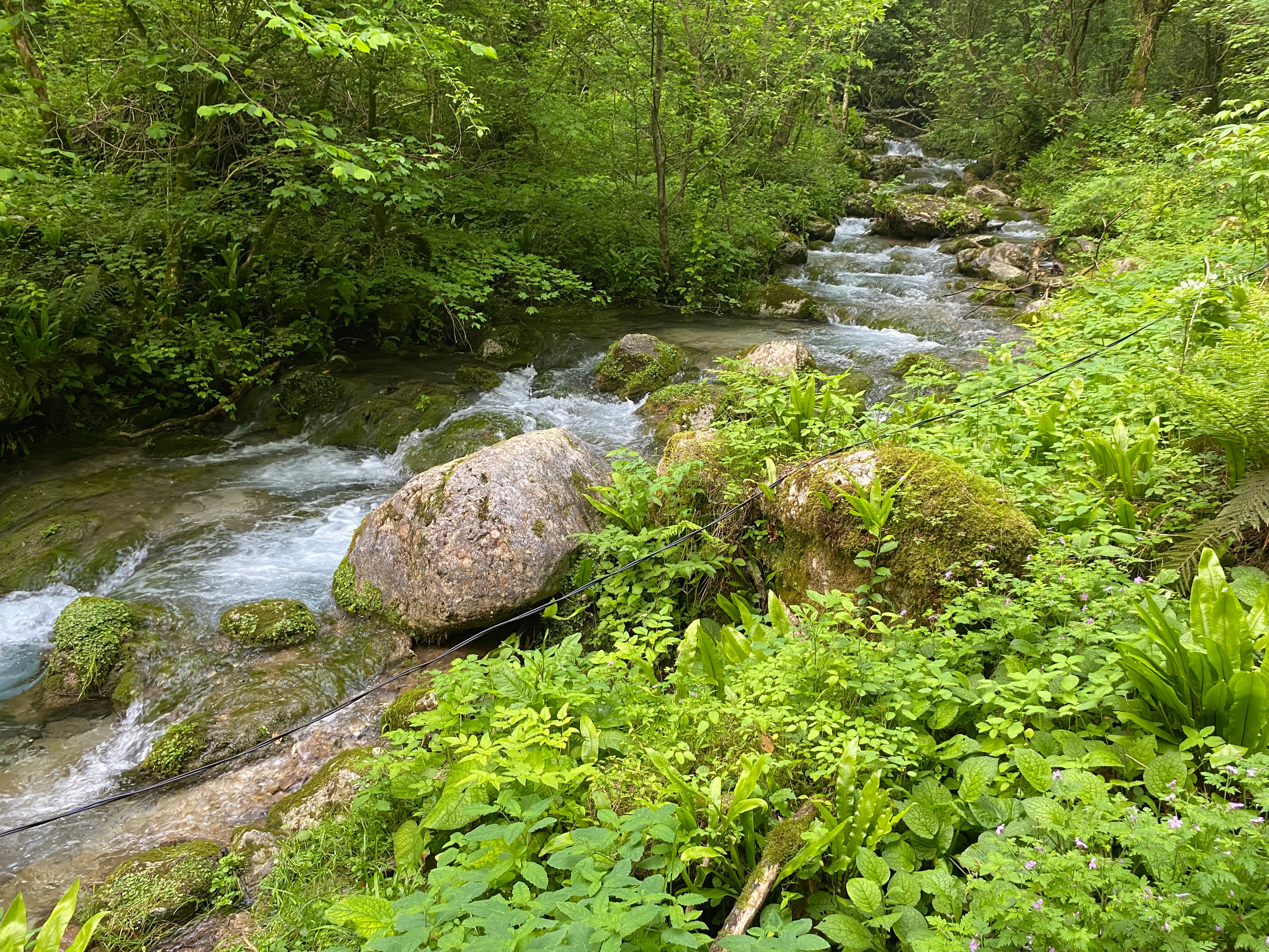 Фото Вилла Леона