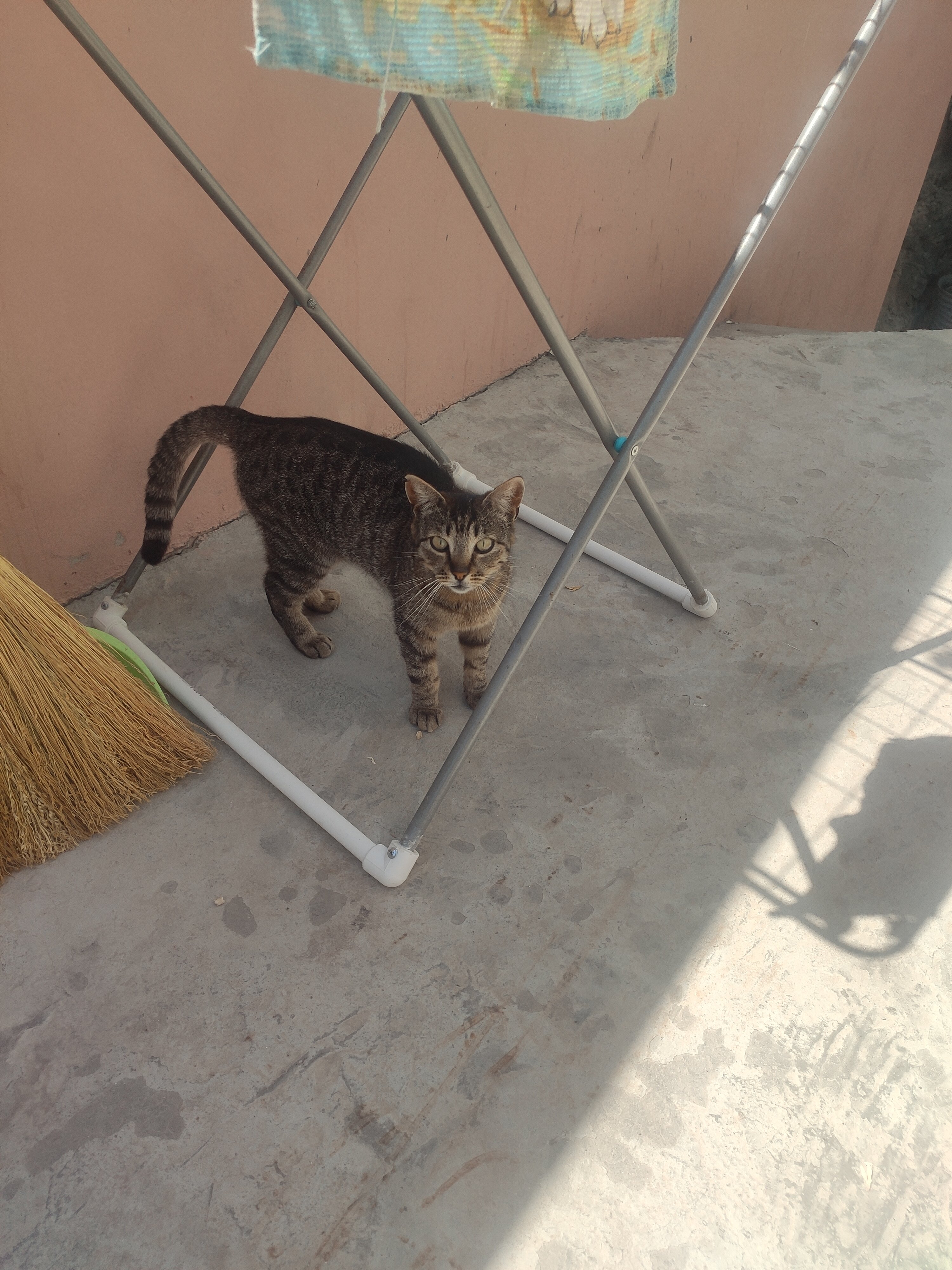 Фото Усадьба Инжир