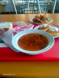 Slavyanka (Voronezh Region, Nizhnedevitskiy rayon, Kuchugurovskoye selskoye poseleniye), cafe