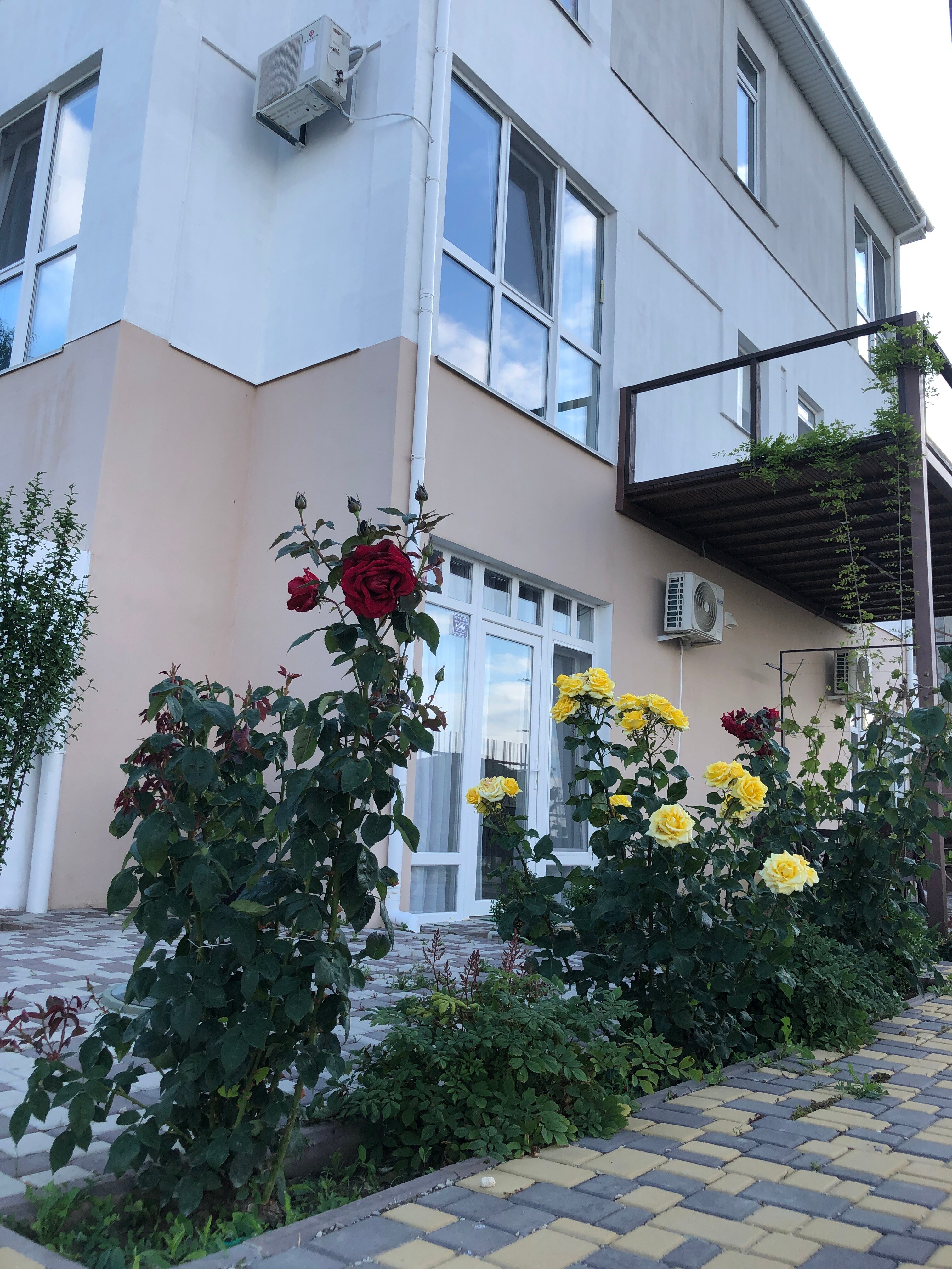 Фото Выше неба