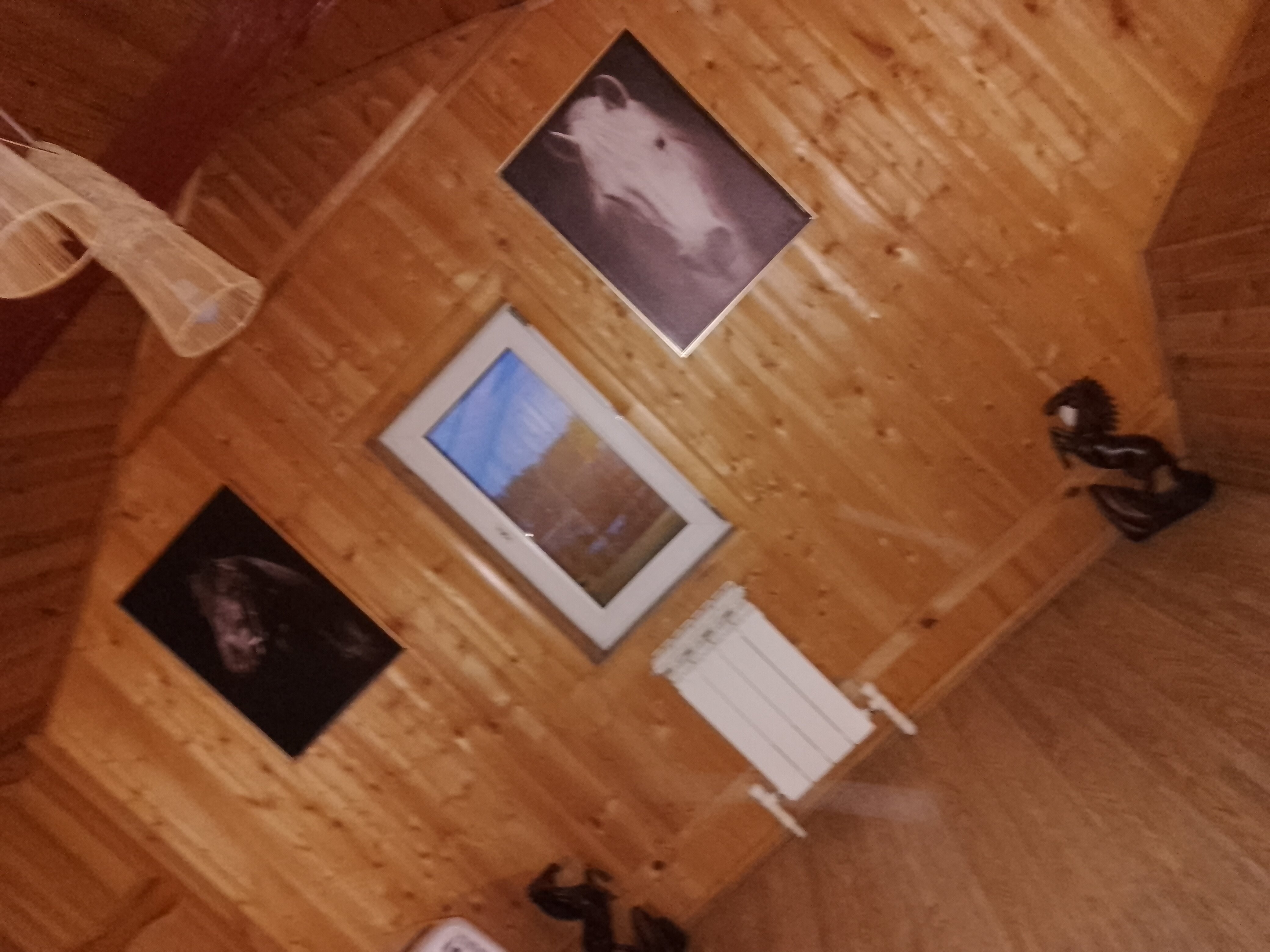 Фото Филин дом