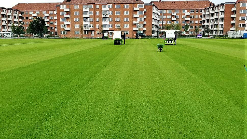 Warehouse services Support In Sport Warehouse, Dubai, photo