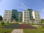 Incom-Nedvizhimost (Moscow Region, Mytishi Urban District, derevnya Boltino), real estate agency