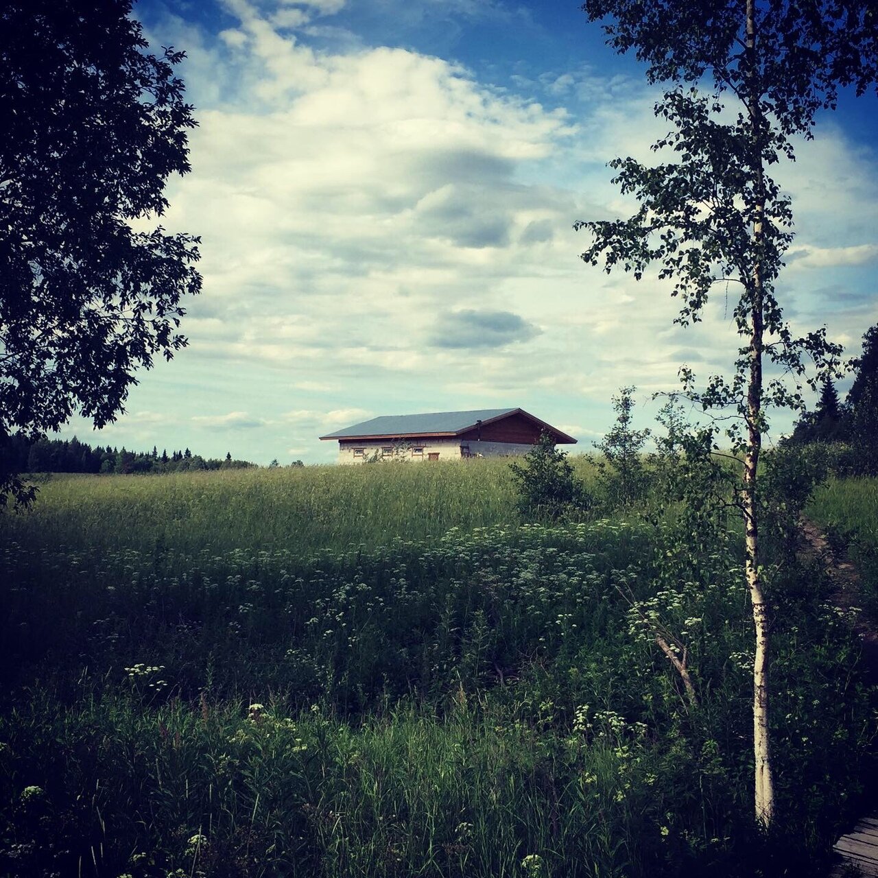 Фото Финский Хутор