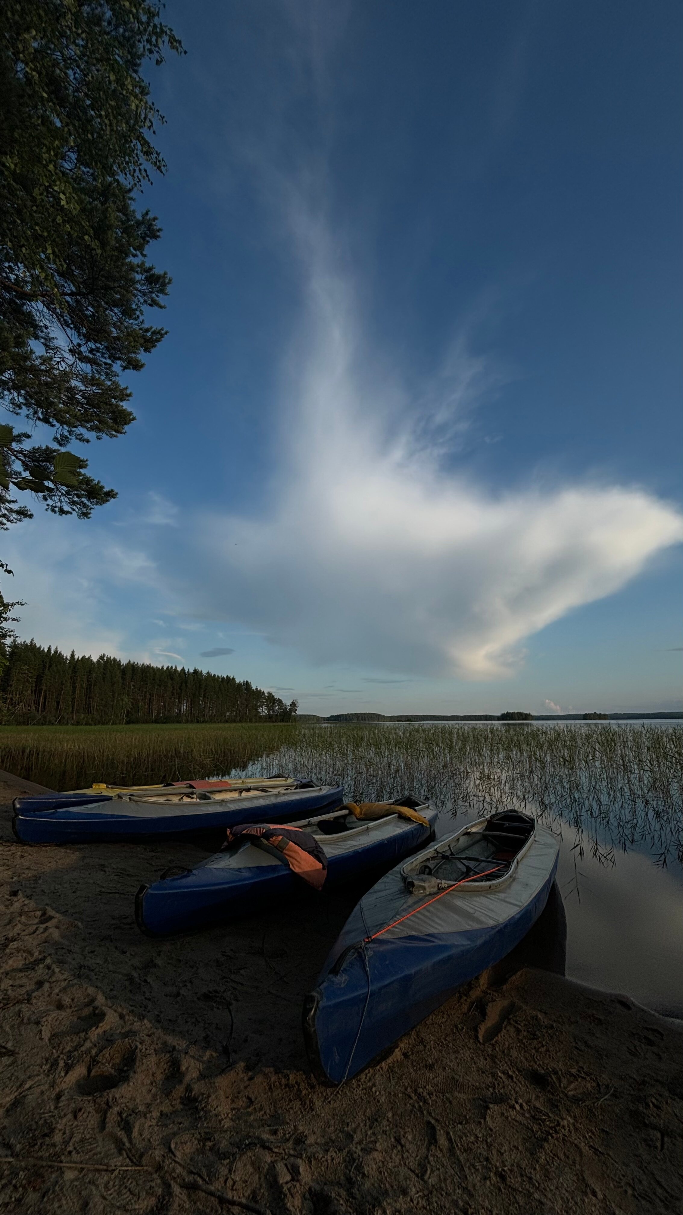 Фото Поляна
