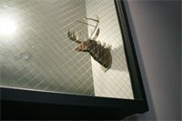 Фото Hostel Beige 2nd