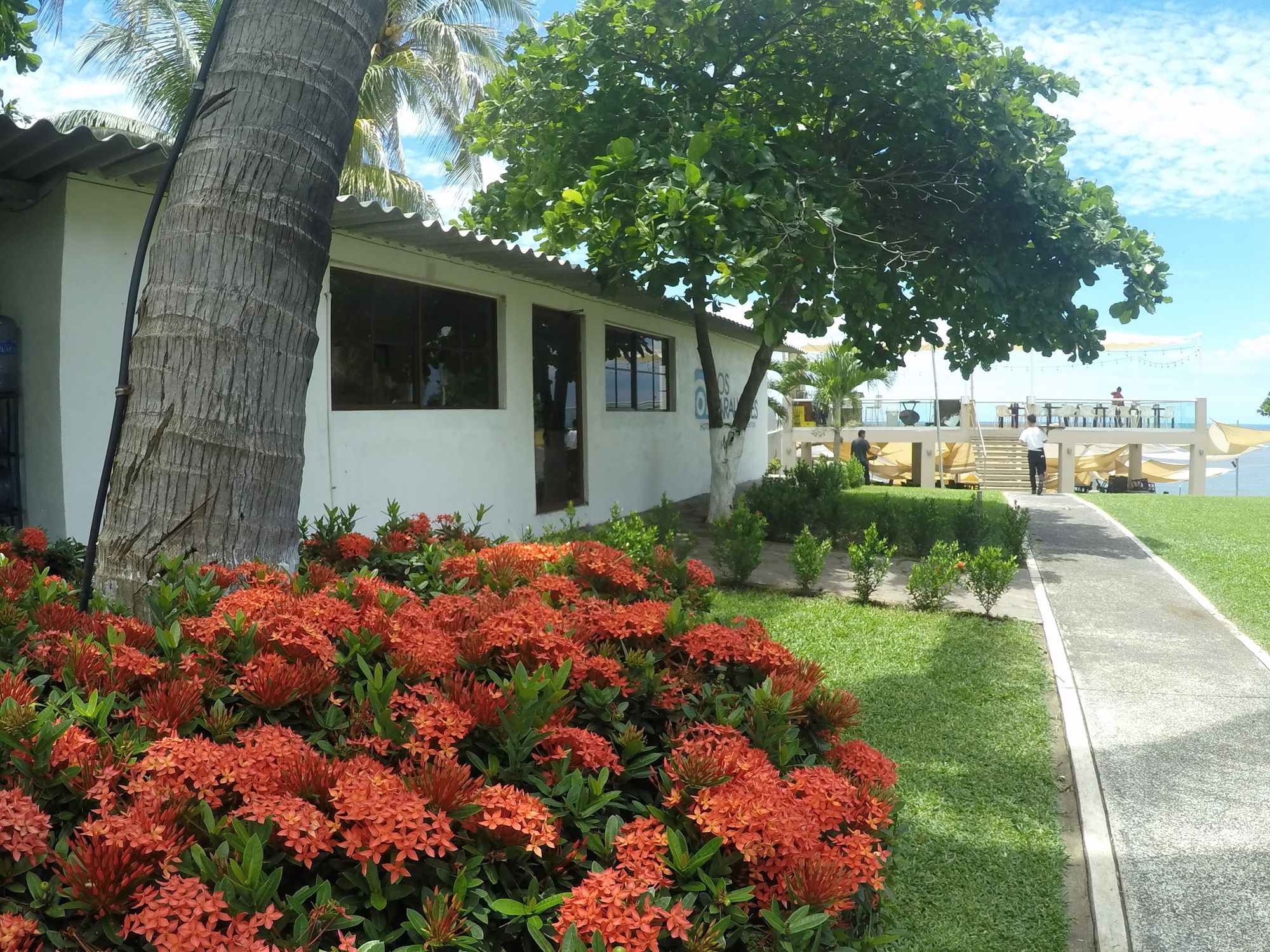 Фото Hotel Los Farallones