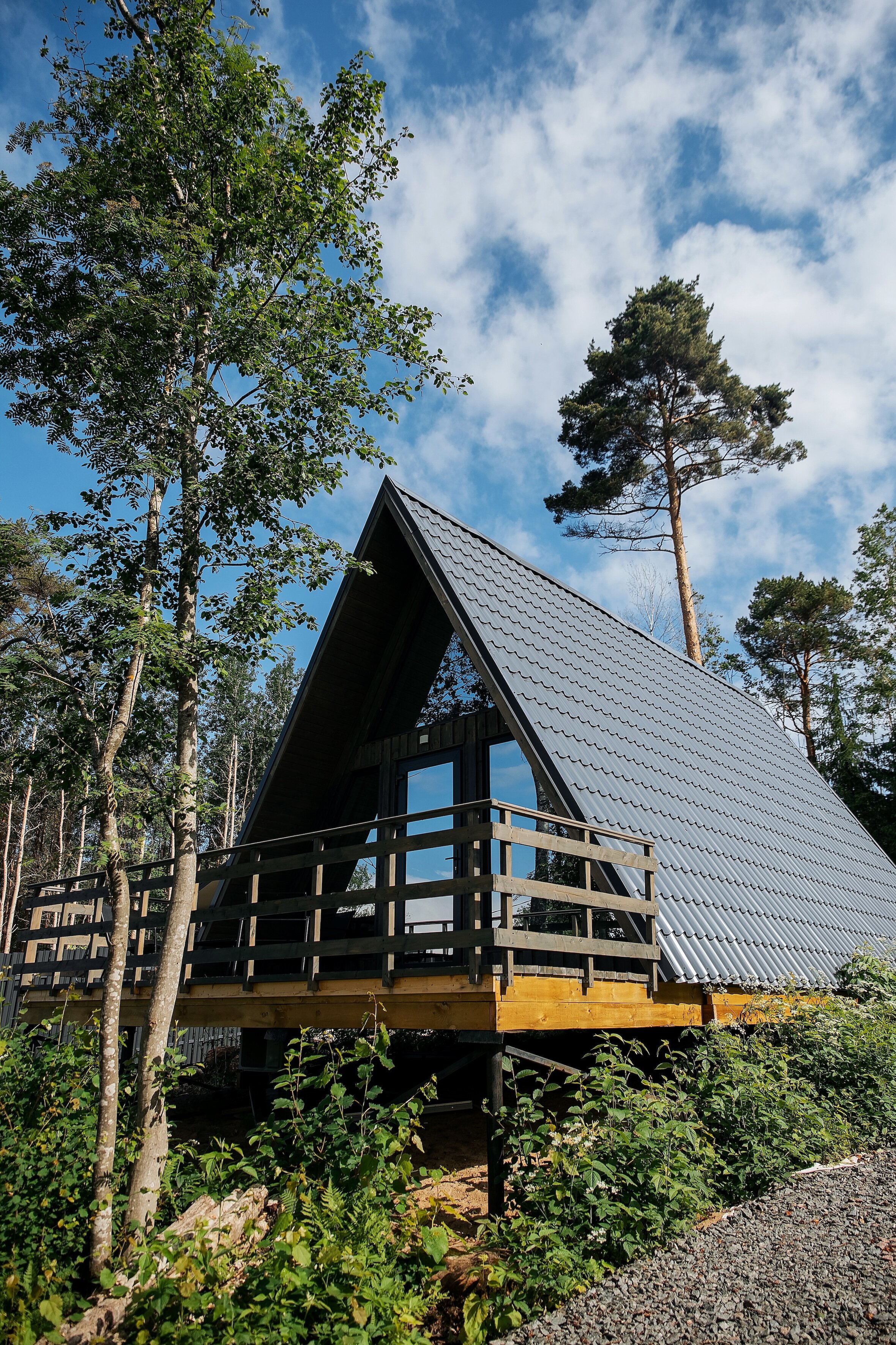 Фото Ёлки Чилл