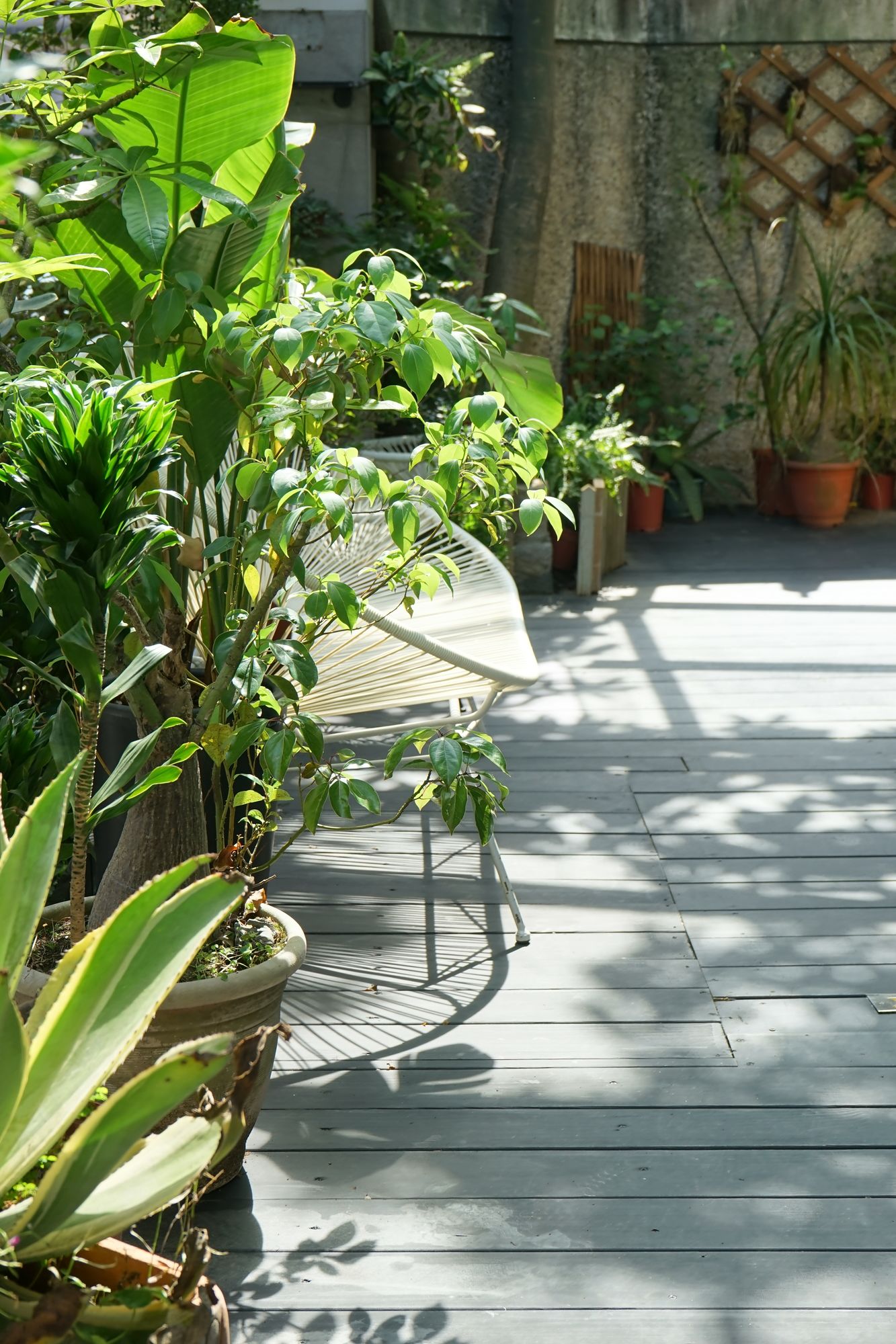 Фото Nihao Cafe Hotel