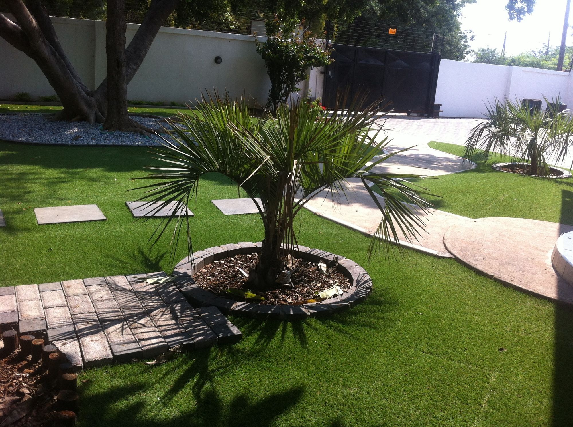 Фото Cosy Palms Guest House