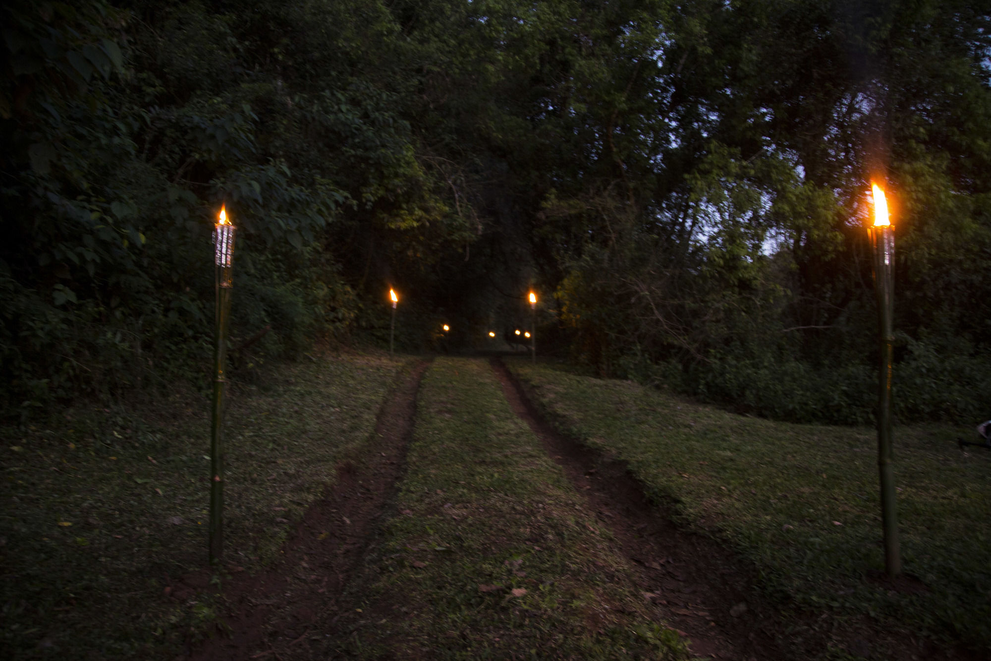 Фото Mocona Virgin Lodge