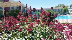 Гостиница Days Inn by Wyndham Santa Fe New Mexico