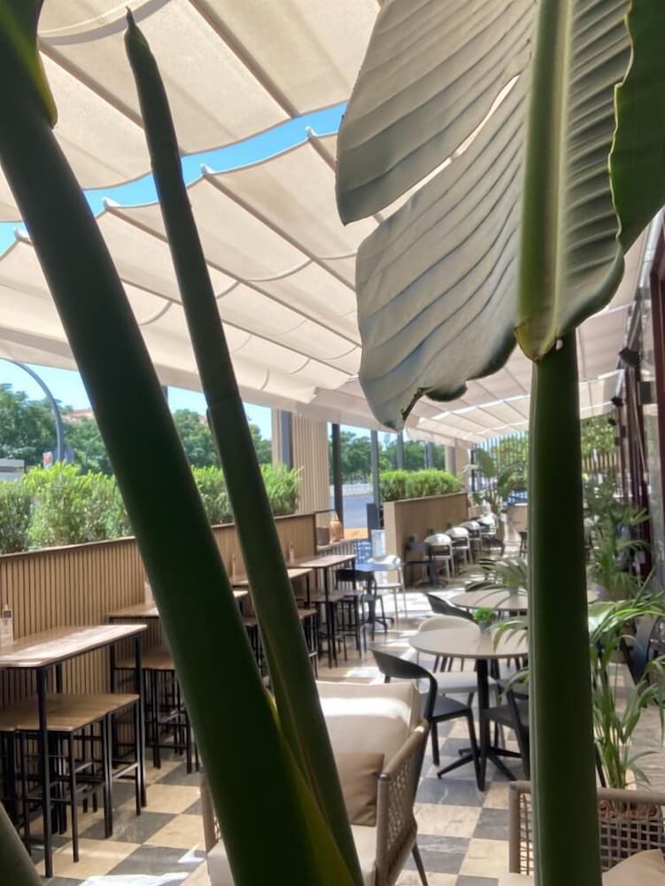 Фото Hotel Turia Valencia