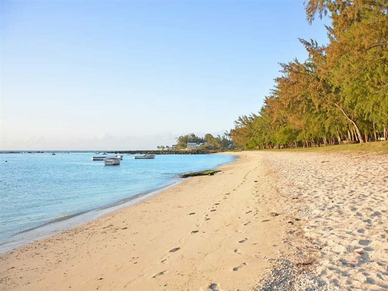 Фото La Margarita