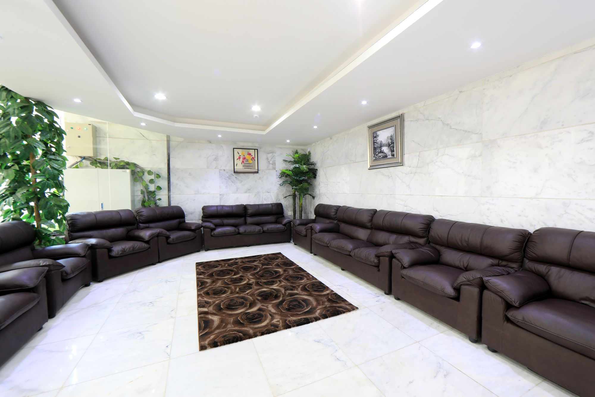 Фото 224647030164