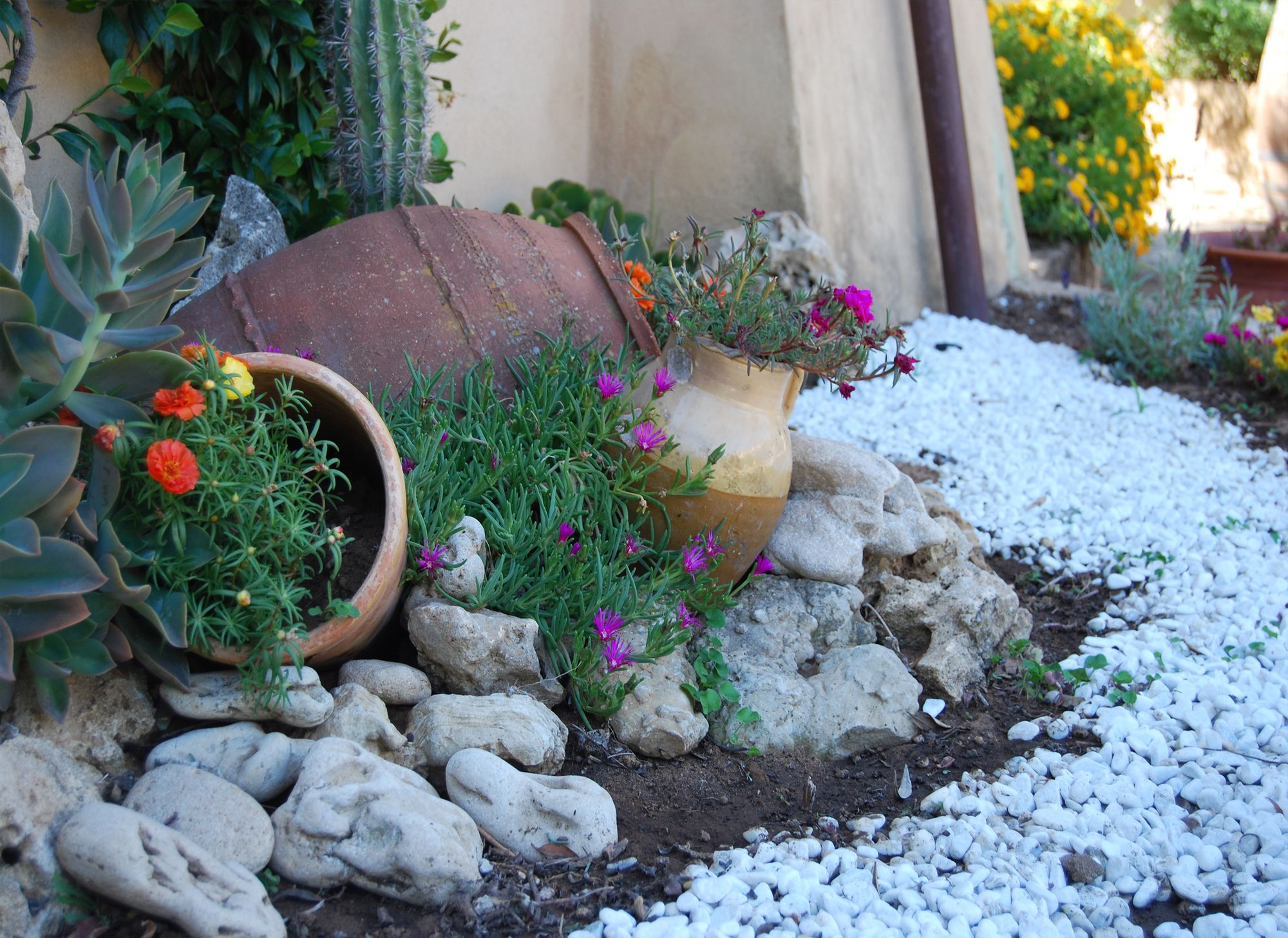 Фото Fattoria Il Borghetto