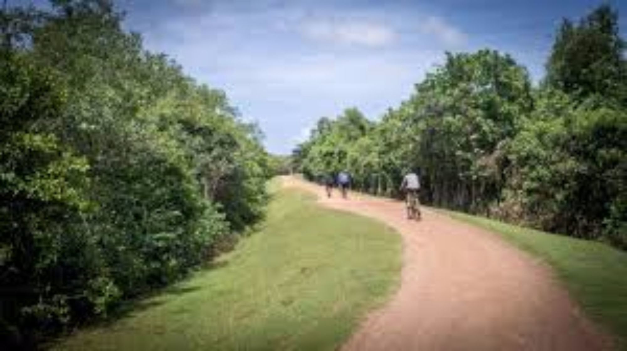 Фото Celestial Inn