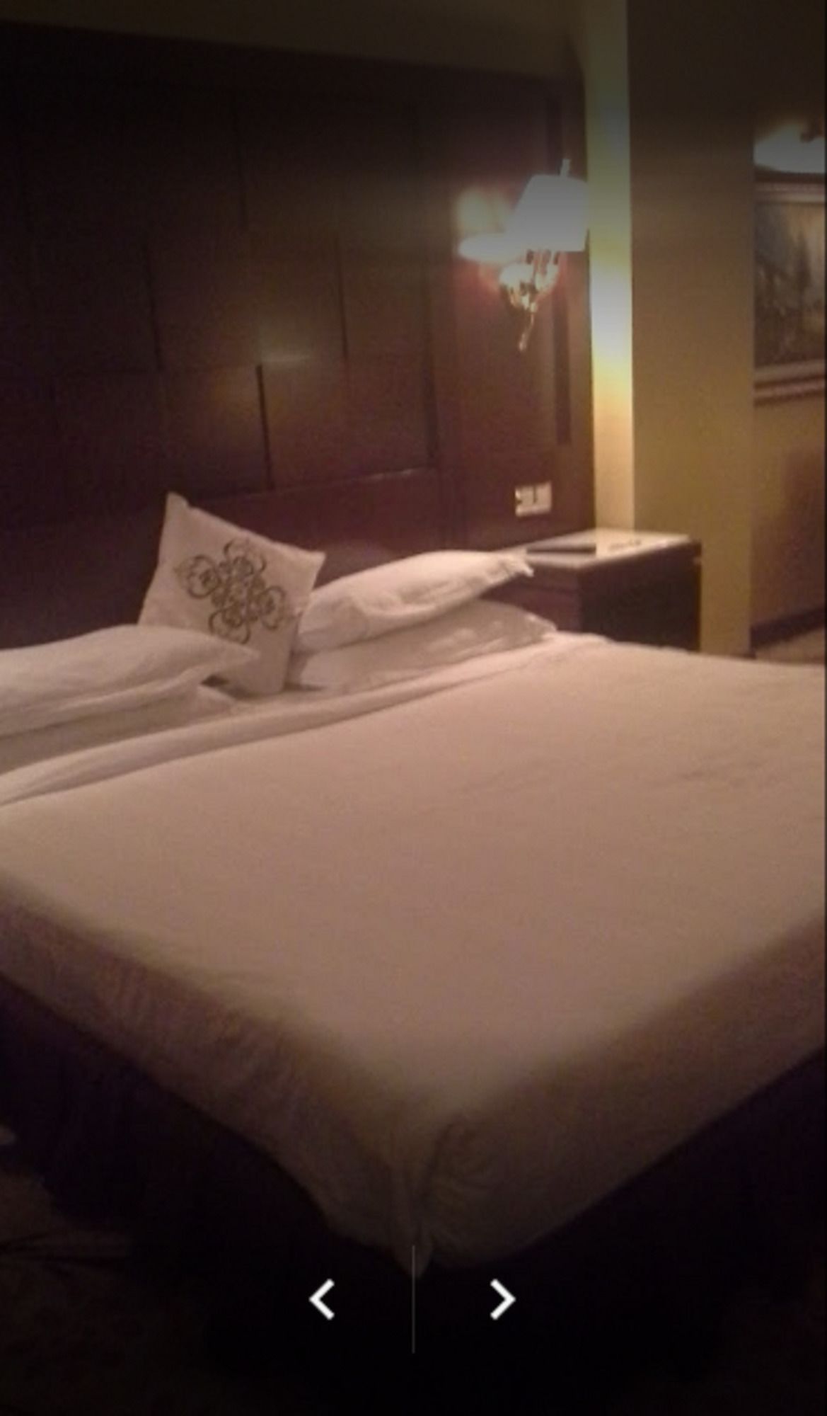 Фото Oasis Hotel