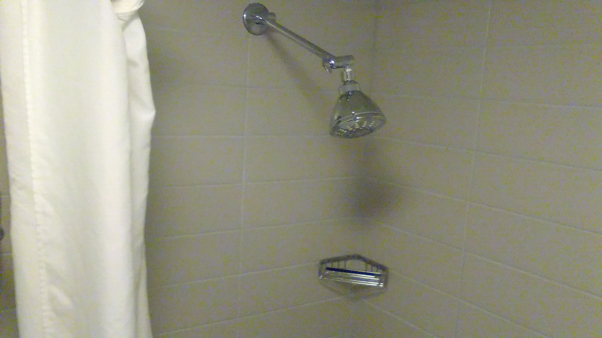 Фото Best Western Plus Austin Central