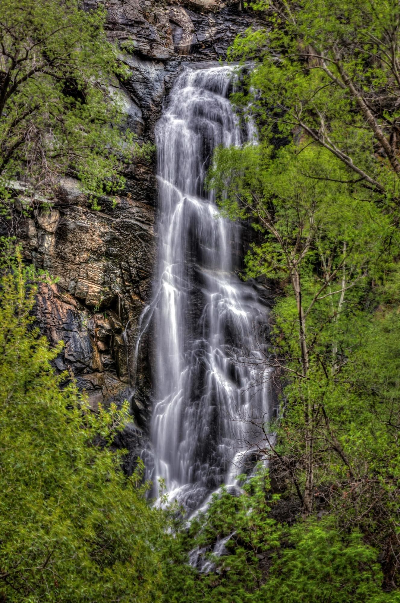 Фото Best Western Black Hills Lodge