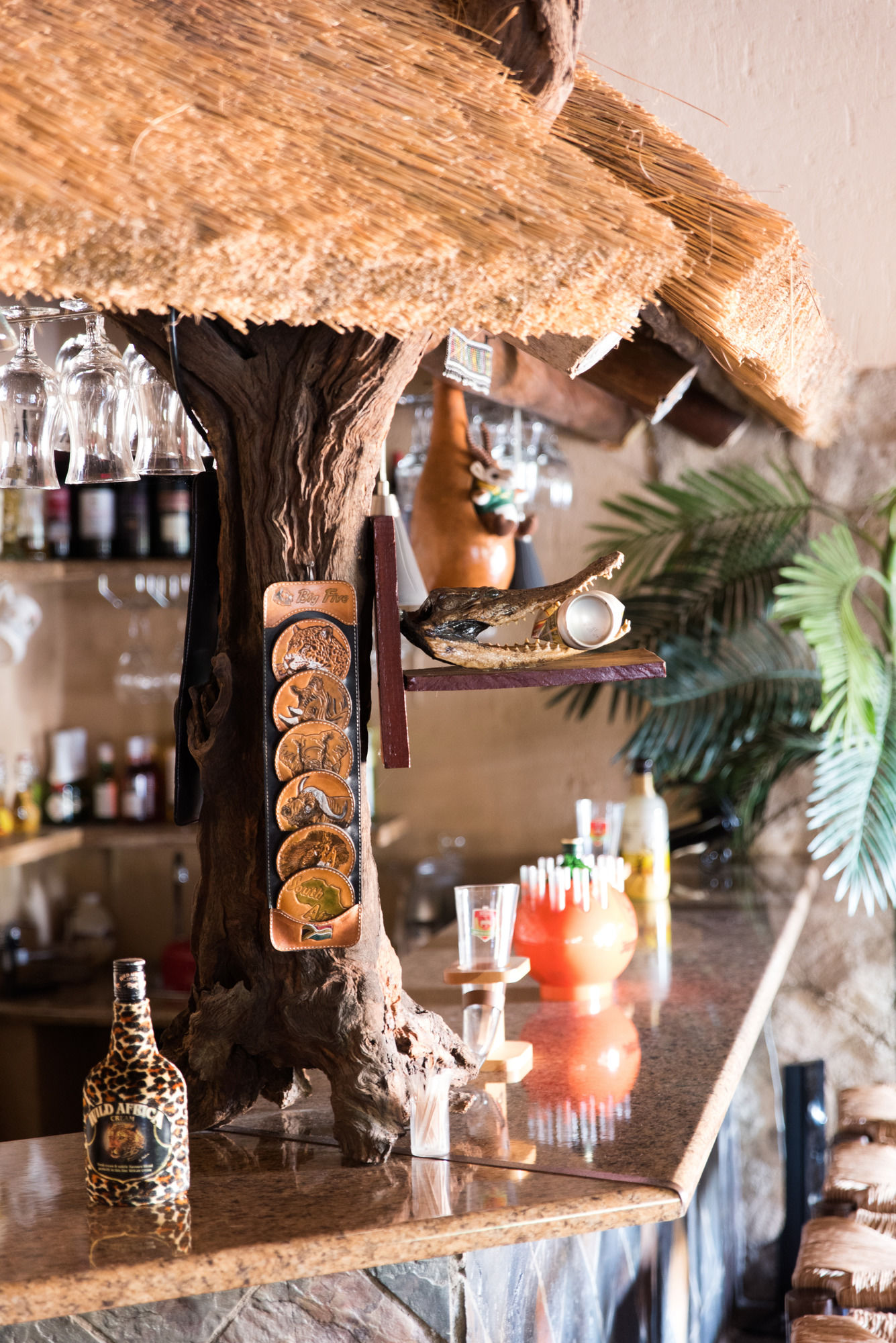 Фото African Rock Lodge