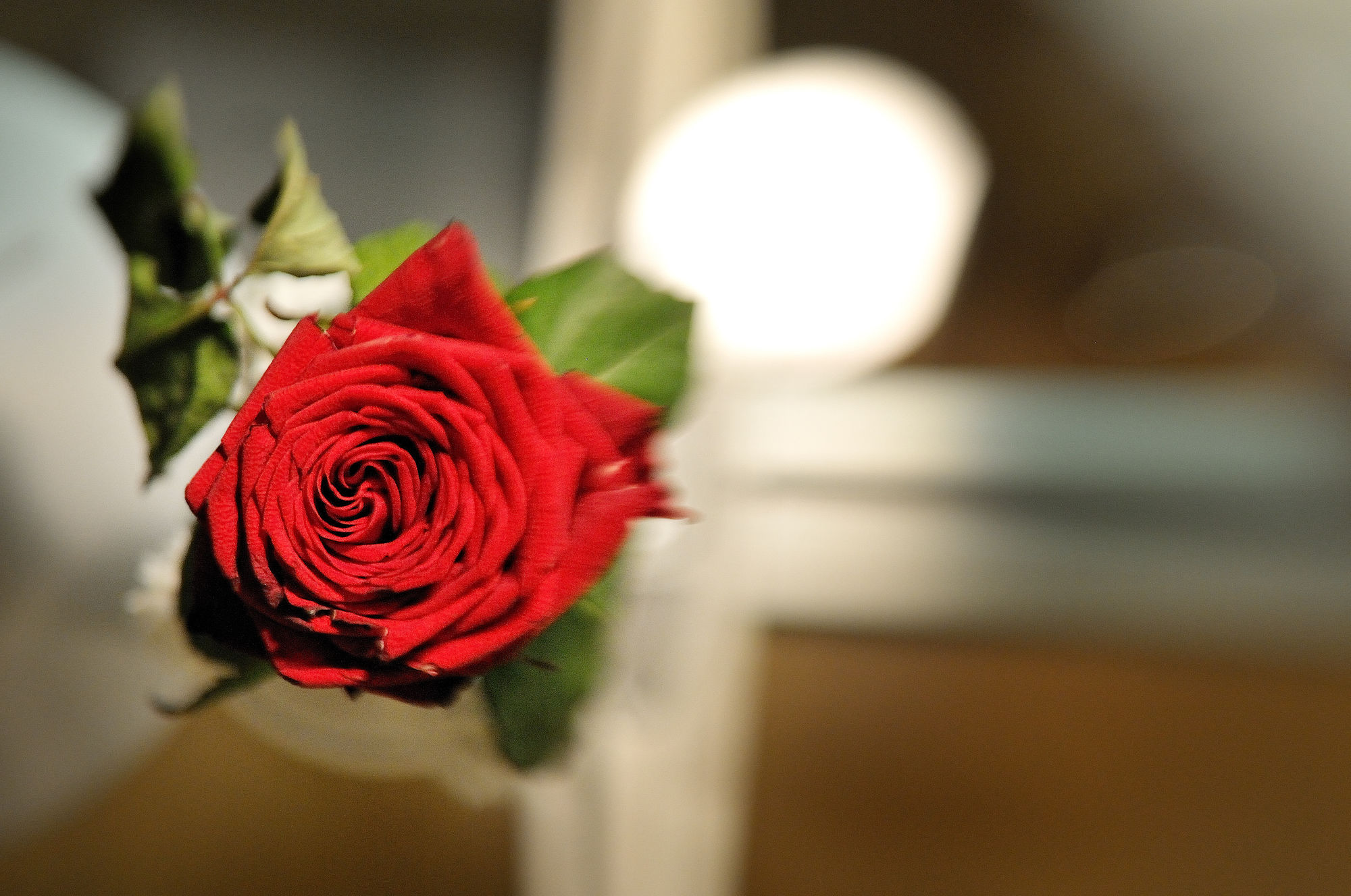 Фото Luxury B&b La Dimora degli Angeli