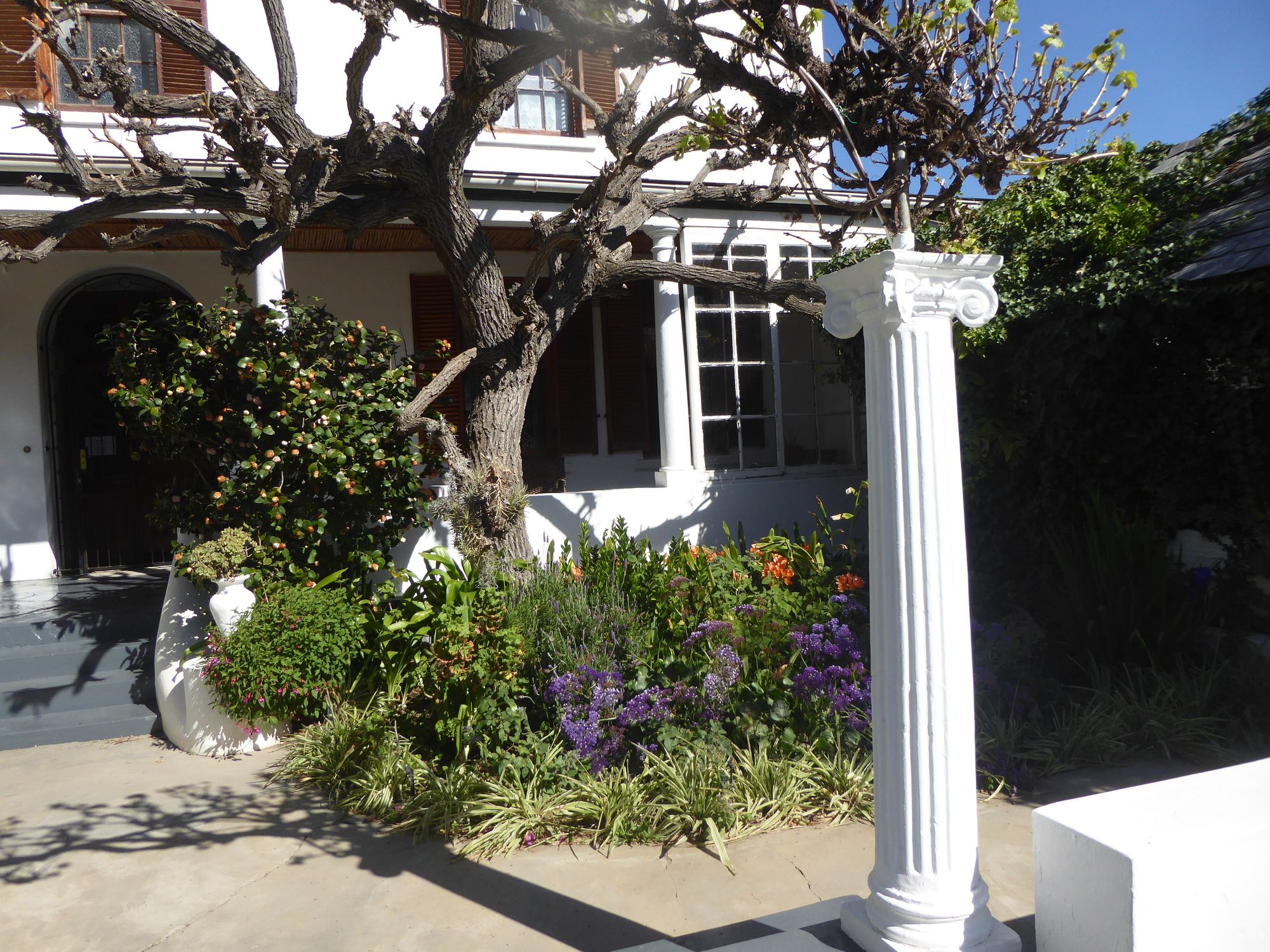 Фото Airlies Guest House