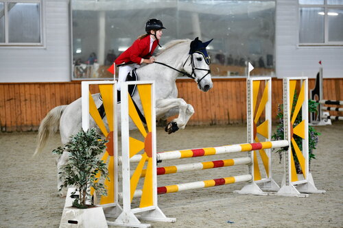 VKontakte-da keksa ayollarning tukli mushuklari