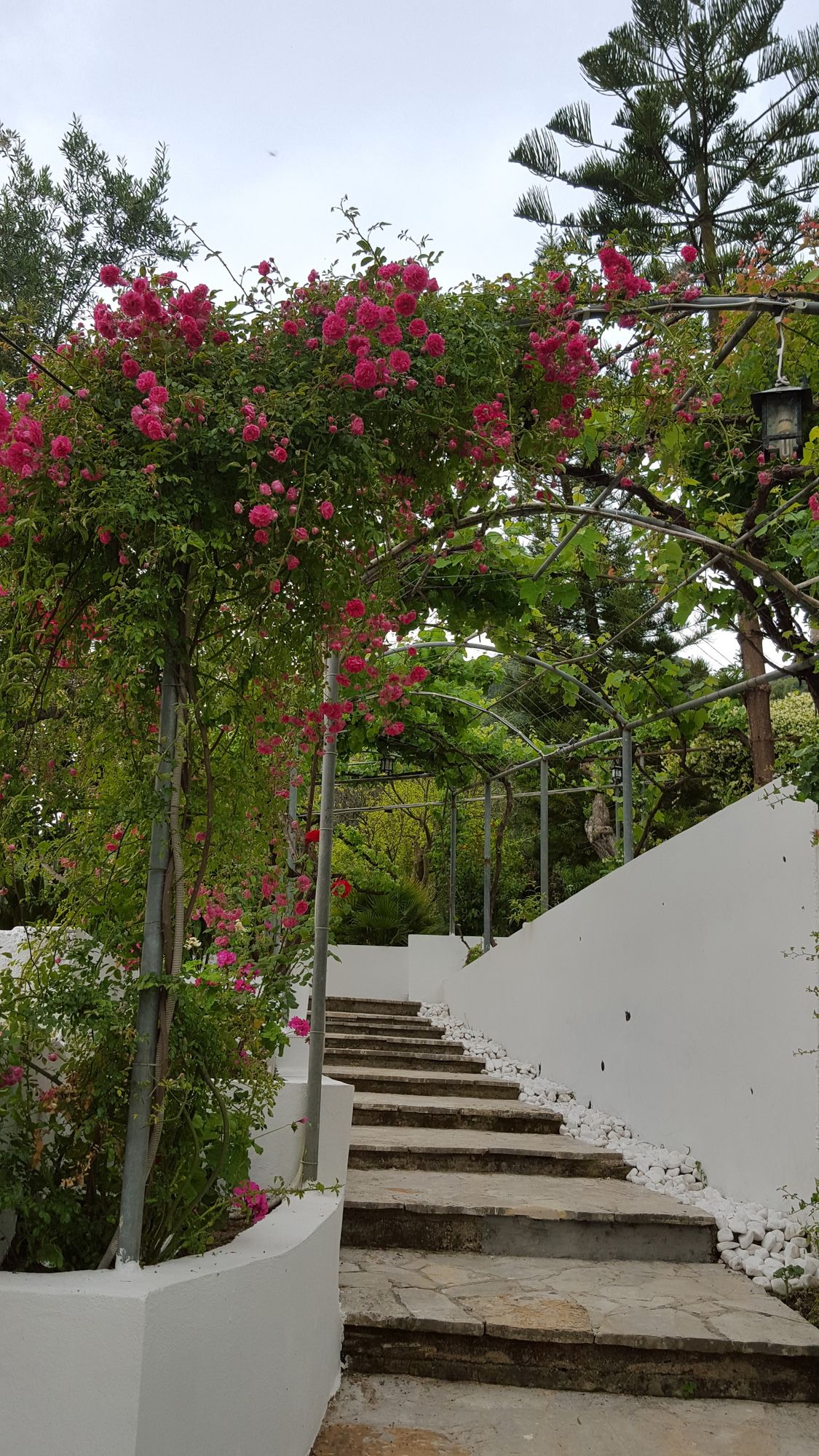 Фото Gina Studios